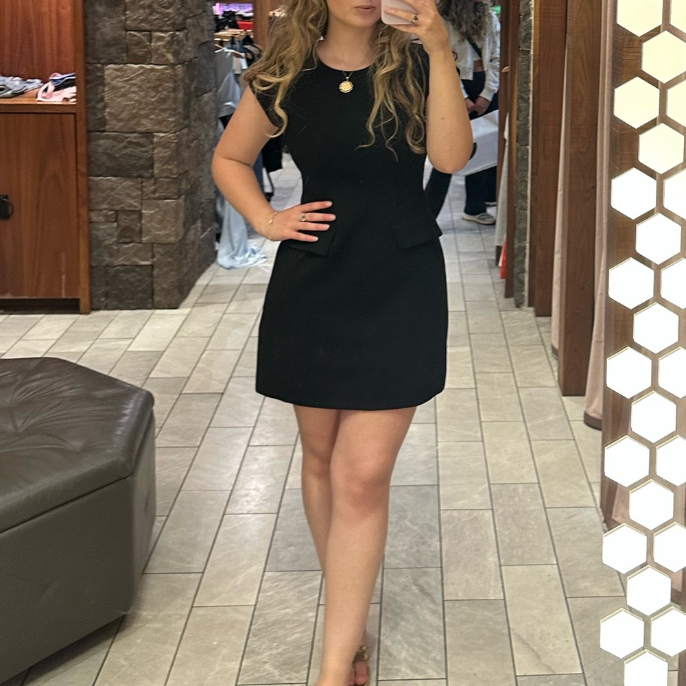 Aritzia black fitted dress